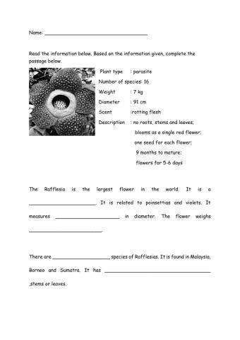 Yr 5 Fascinating Sabah and Sarawak