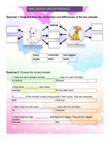 Similarities and differences