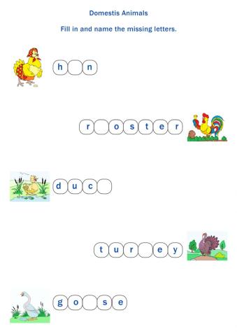 Domestic animals fill in A