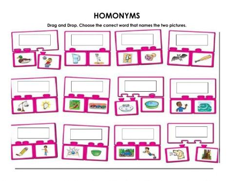 Homonyms-Homographs