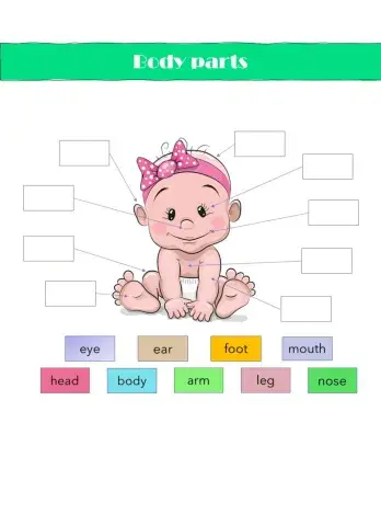 Body Parts - Drag and Drop