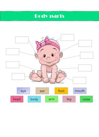 Body Parts - Drag and Drop