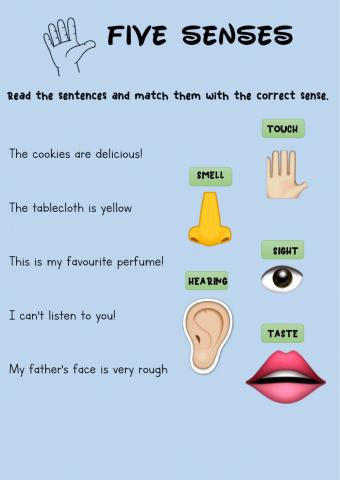 5 senses 2nd part