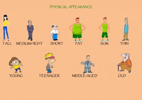 Physical Appearance