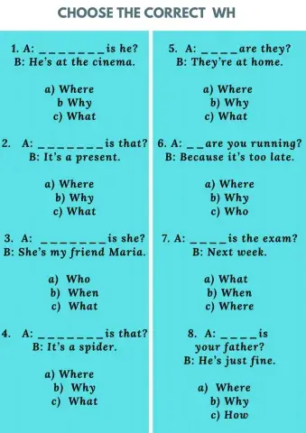 Choose the correct  WH