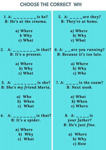 Choose the correct  WH