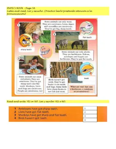 Reading: Carnivores, herbivores, omnivores.