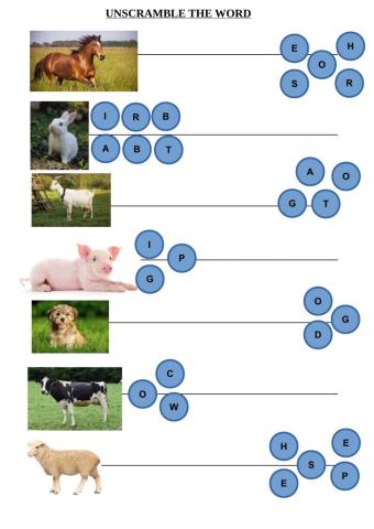 Unscramble the word Animals