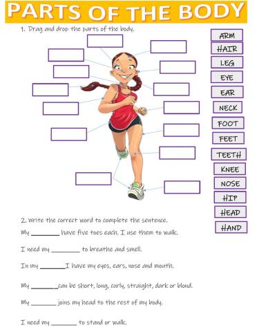 Parts of the body