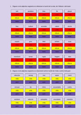 Els adjectius i els sentits
