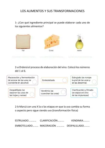 Transformación y conservación de los alimentos
