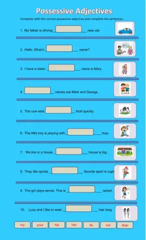 Possessive Adjectives