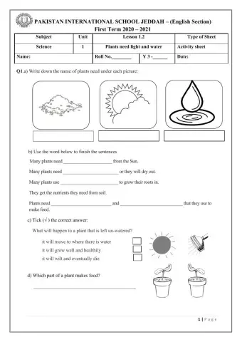 L 1.2 Plants need light and water