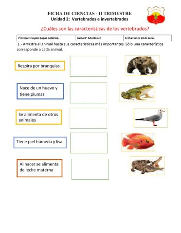 Características de los vertebrados