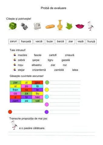 PROBĂ DE EVALUARE - LITERELE Z, z (CRED)