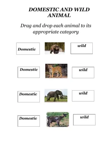 Domestic and Wild Animals
