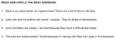 Choose the correct option