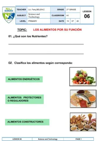 Los alimentos por su función