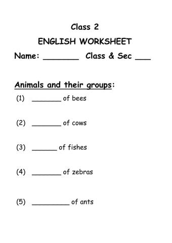 Animals and their groups