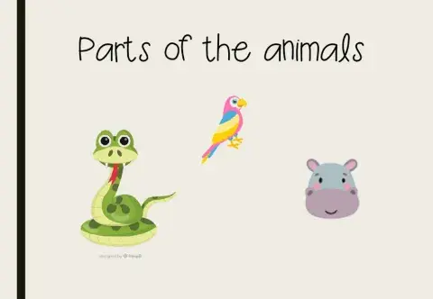 Parts of the animals