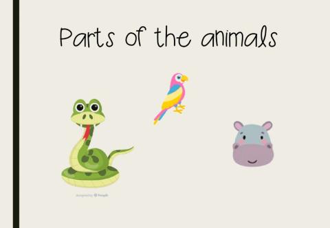 Parts of the animals