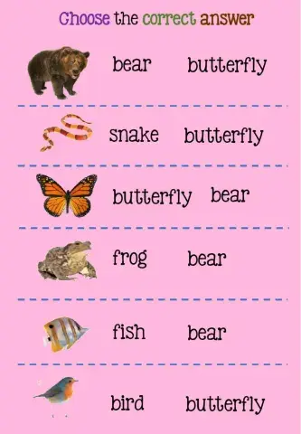 Choose the correct answer