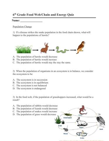 Food web quiz