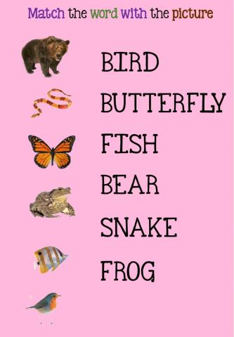 Match the animal with its word