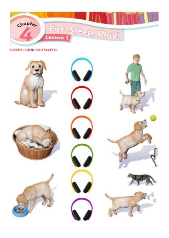 Tenses + Animals - Student's Book - Page 38