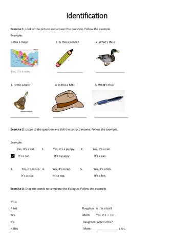 Identification interrogative