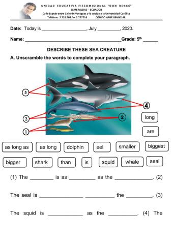 DESCRIBING SEA CREATURES