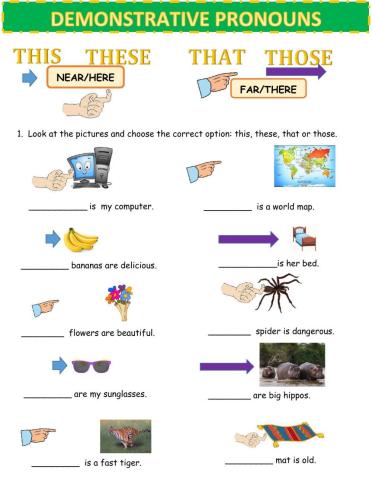 Demonstrative Pronouns