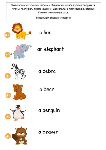 Animals words