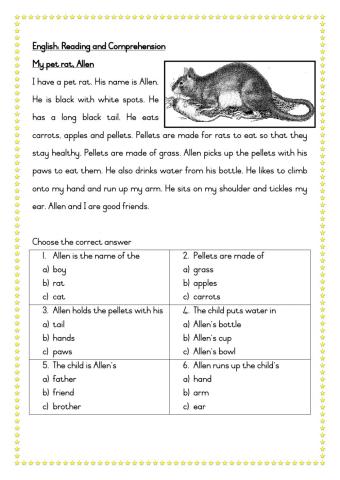 Reading comprehension: My pet rat Allen
