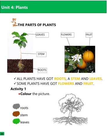 The Parts of plants