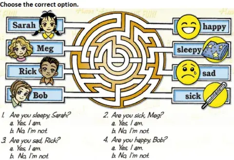 Choose the correct option