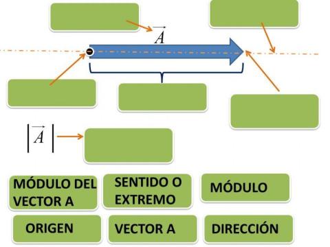 Elementos de un vector