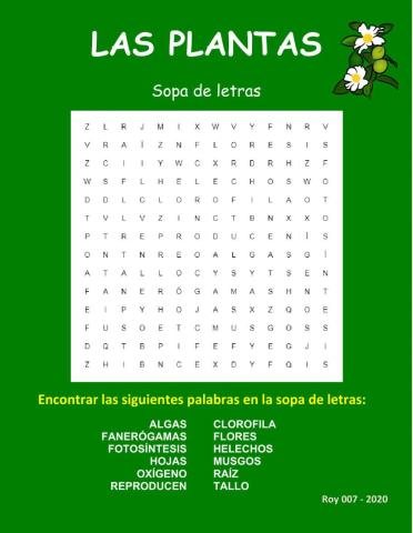 Las plantas y sus procesos