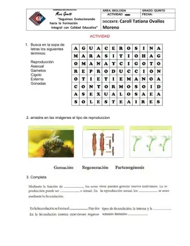 Reproduccion en animales