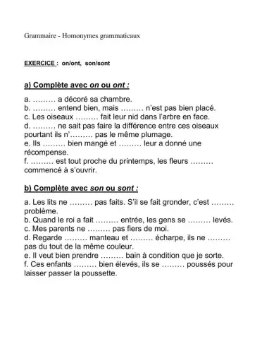 Les homonymes on-ont et son-sont