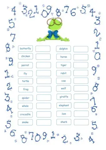 Vocabulario inglés (animales)