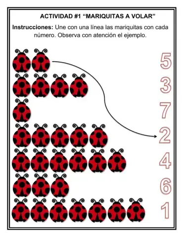 Mariquitas a volar
