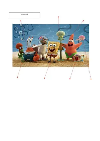 Invertebrate animals