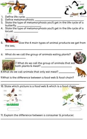 Life cycle & ecosystems