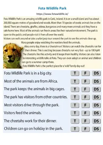 Reading - Fota Wildlife Park