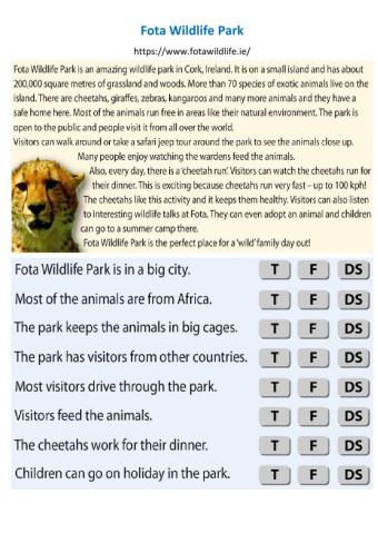 Reading - Fota Wildlife Park