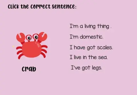 Animals characteristics