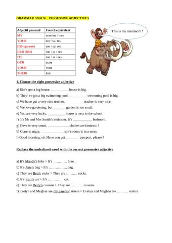 Possessive adjectives