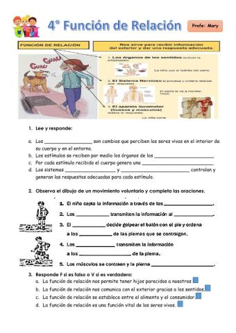 Función de relación