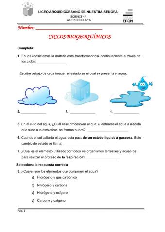 Ciclos biogeoquímicos